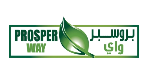 بروسبر واي